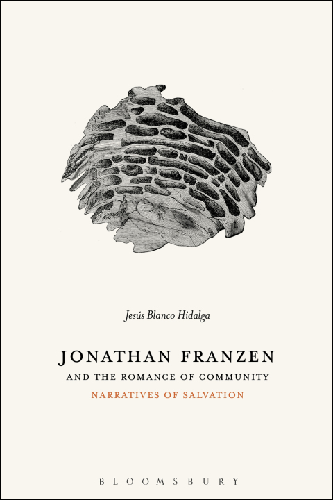 Cover image for book Jonathan Franzen and the Romance of Community