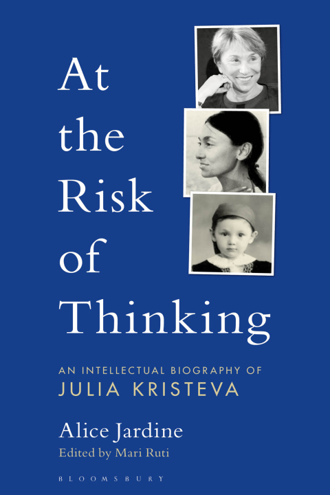 Cover image for book At the Risk of Thinking