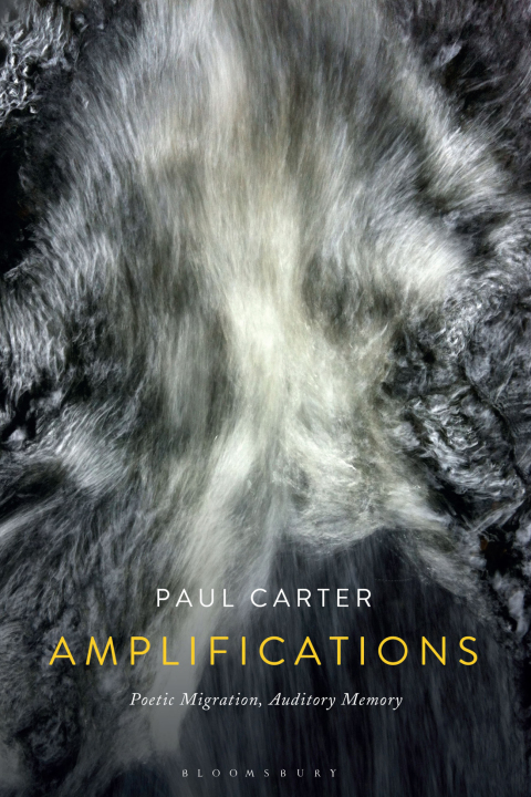 Cover image for book Amplifications