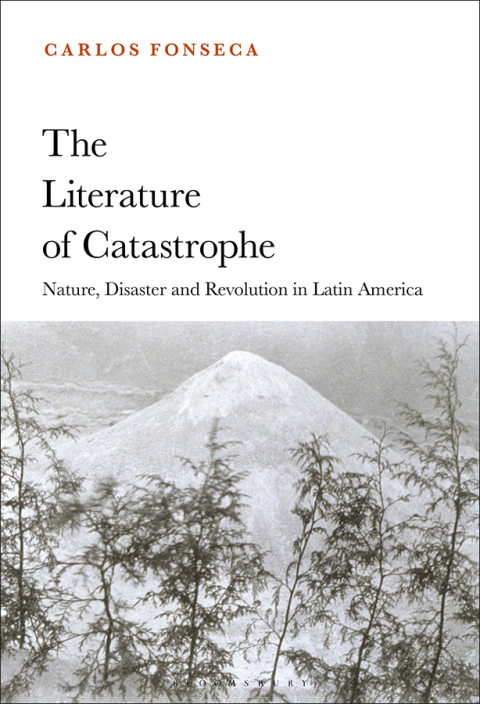 Cover image for book The Literature of Catastrophe