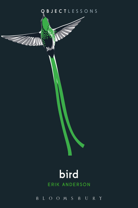 Cover image for book Bird
