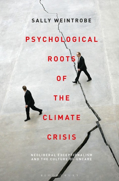 Cover image for book Psychological Roots of the Climate Crisis