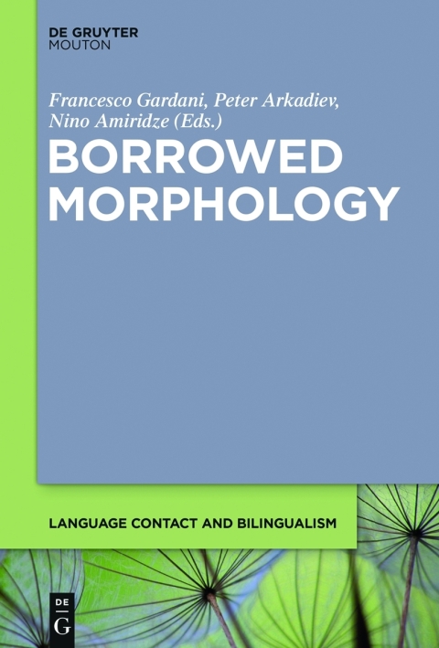 Cover image for book Borrowed Morphology