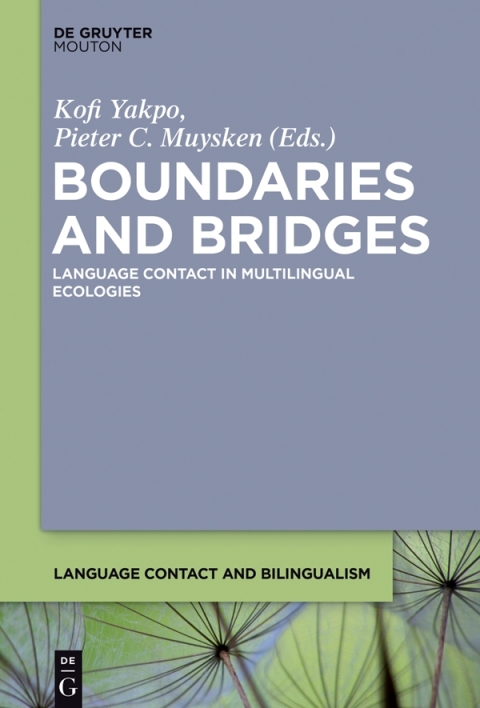Cover image for book Boundaries and Bridges