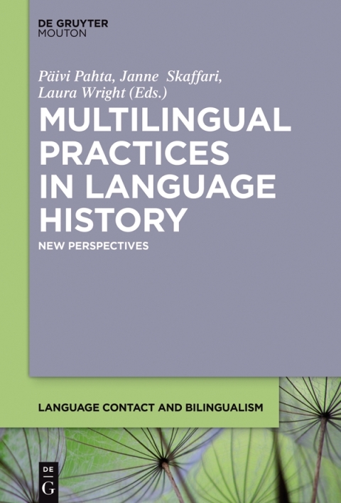 Cover image for book Multilingual Practices in Language History