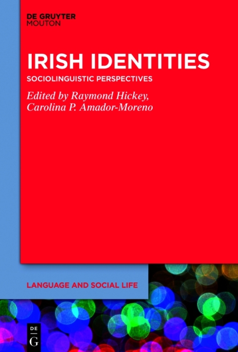Cover image for book Irish Identities