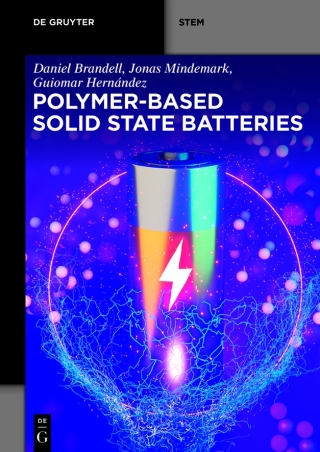 Polymer-based Solid State Batteries