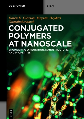 Conjugated Polymers at Nanoscale