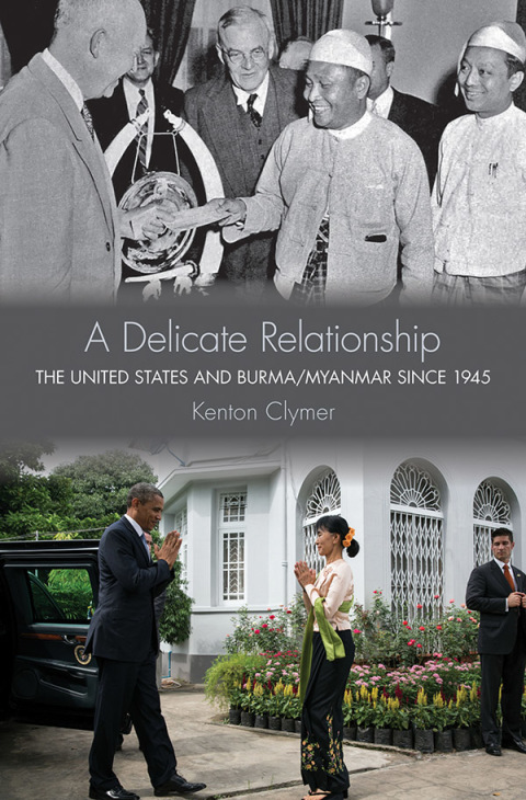 Cover image for book A Delicate Relationship