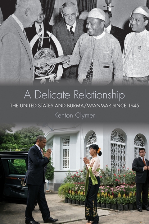 Cover image for book A Delicate Relationship