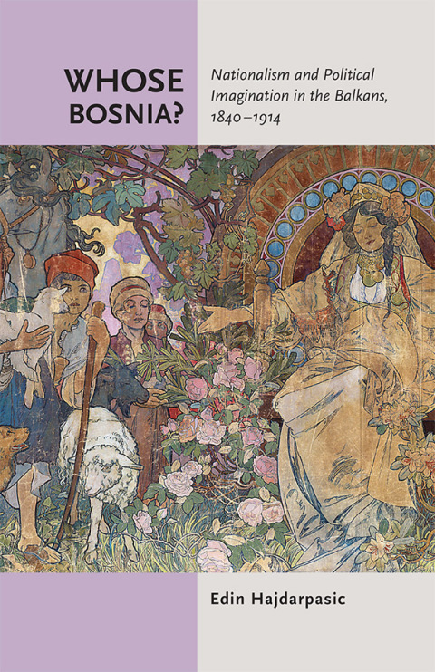 Cover image for book Whose Bosnia?
