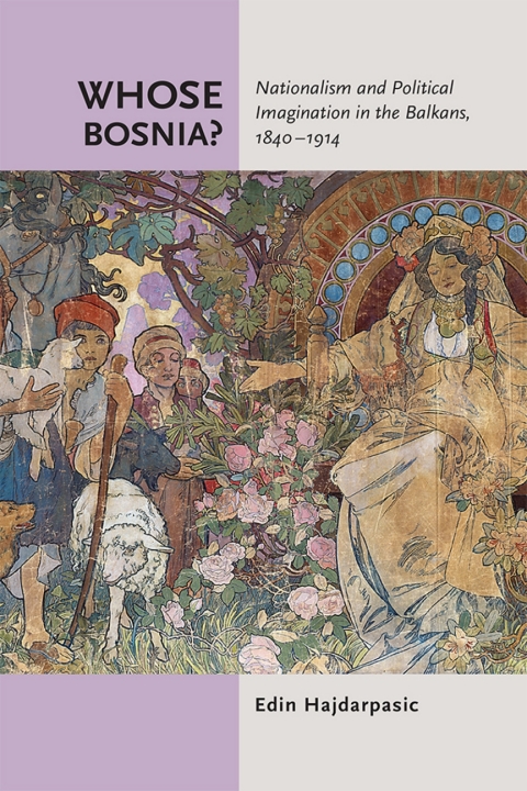 Cover image for book Whose Bosnia?