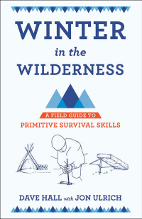 صورة الغلاف: Winter in the Wilderness 1st edition 9781501701153