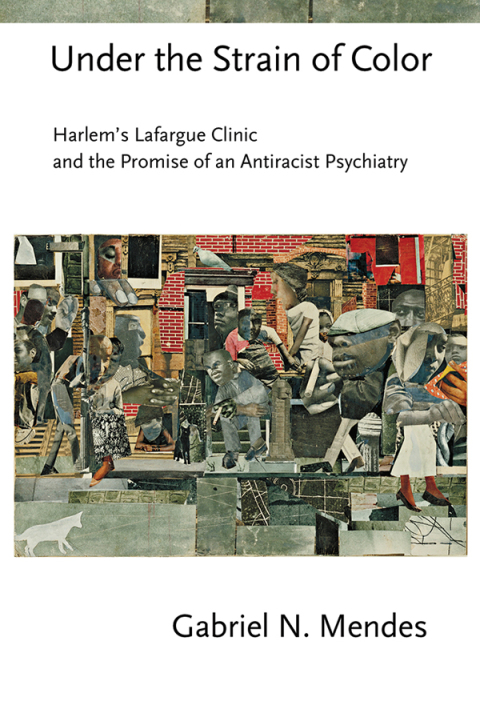 Cover image for book Under the Strain of Color
