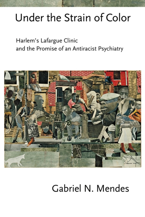Cover image for book Under the Strain of Color