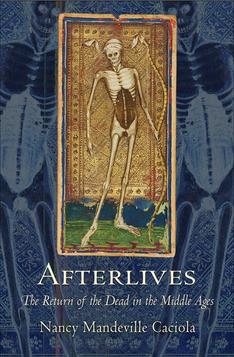 Cover image for book Afterlives