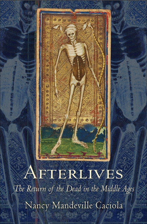 Cover image for book Afterlives