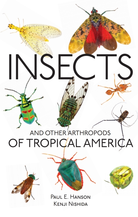 Cover image for book Insects and Other Arthropods of Tropical America