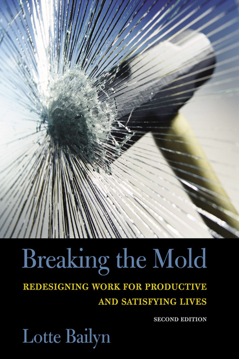 Cover image for book Breaking the Mold