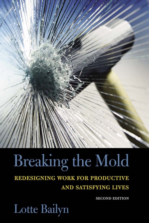 Cover image for book Breaking the Mold
