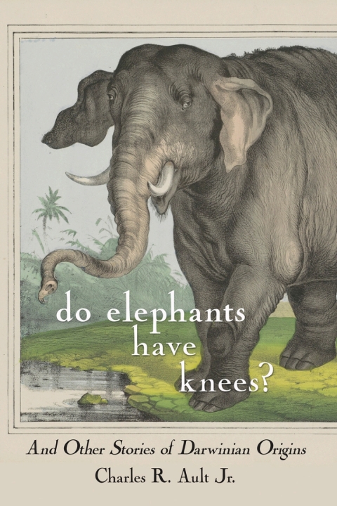 Cover image for book Do Elephants Have Knees?