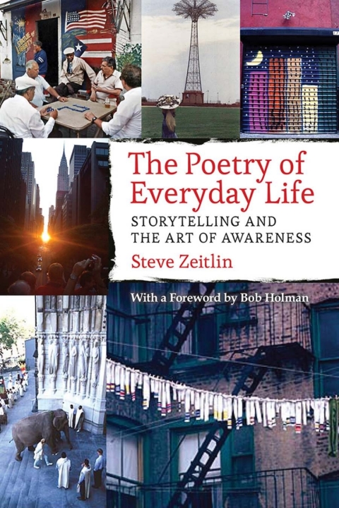 Cover image for book The Poetry of Everyday Life