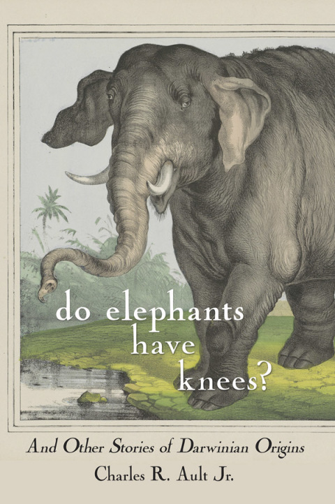 Cover image for book Do Elephants Have Knees?