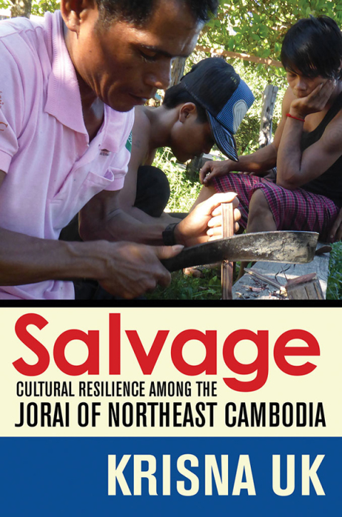 Cover image for book Salvage