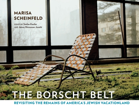 Cover image for book The Borscht Belt