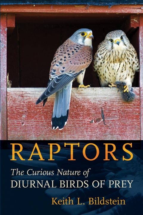 Cover image for book Raptors