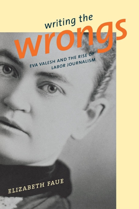 Cover image for book Writing the Wrongs