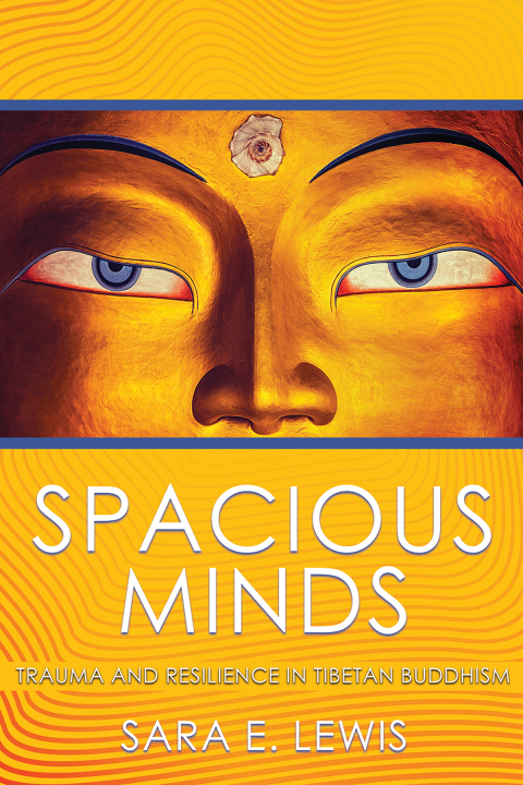Cover image for book Spacious Minds