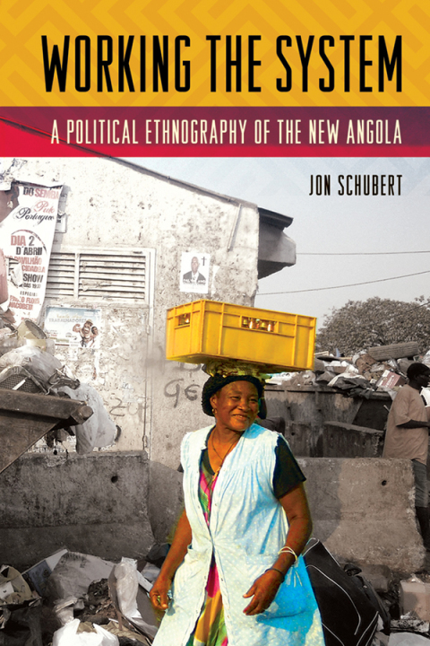 Cover image for book Working the System