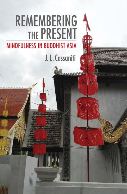 Cover image for book Remembering the Present
