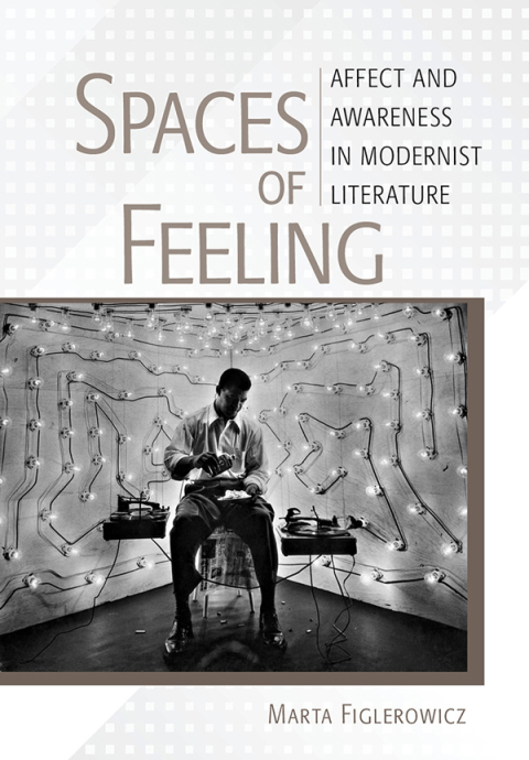Cover image for book Spaces of Feeling