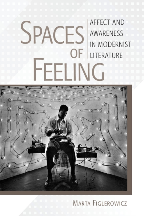Cover image for book Spaces of Feeling