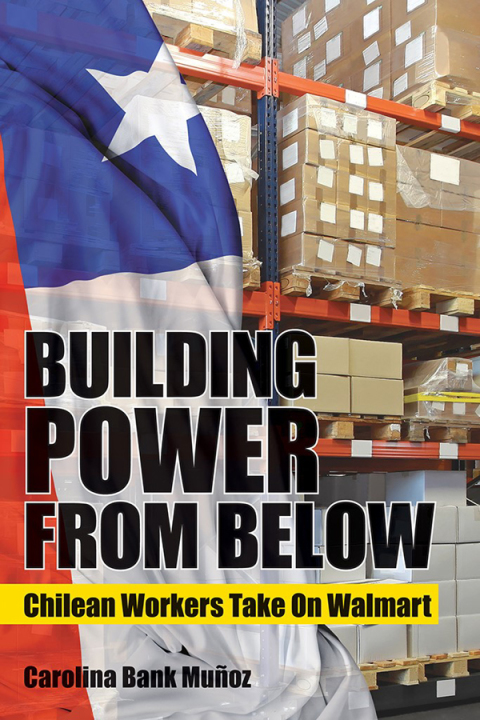 Cover image for book Building Power from Below