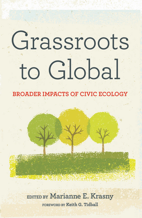 Cover image for book Grassroots to Global