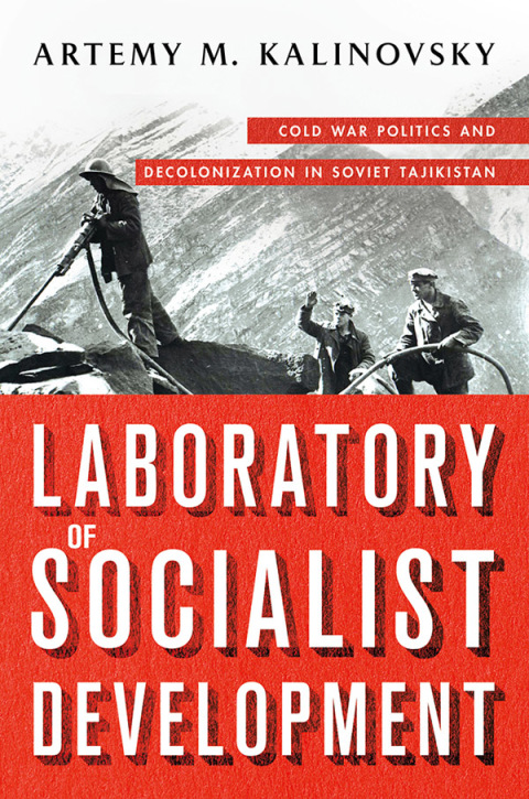 Cover image for book Laboratory of Socialist Development
