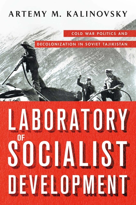 Cover image for book Laboratory of Socialist Development