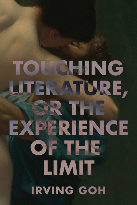 Cover image for book Touching Literature, or The Experience of the Limit