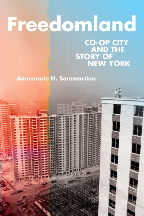 Cover image for book Freedomland