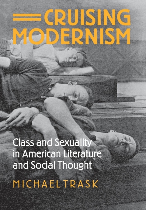 Cover image for book Cruising Modernism