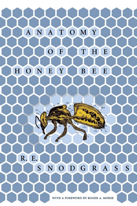 Cover image for book Anatomy of the Honey Bee