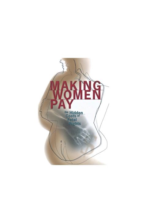 Cover image for book Making Women Pay