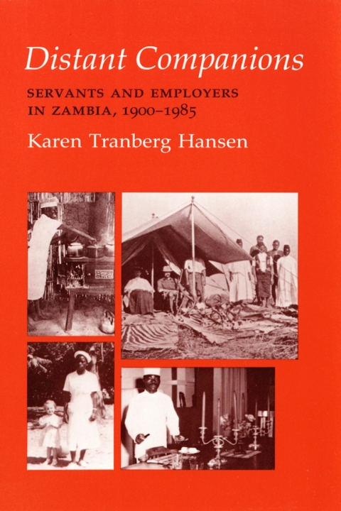 Cover image for book Distant Companions