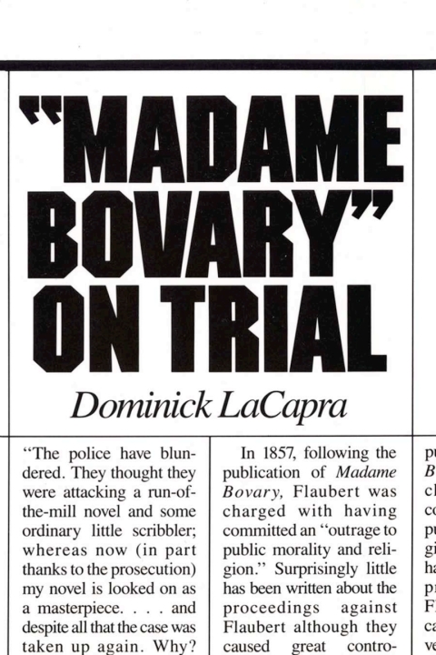 Cover image for book Madame Bovary on Trial