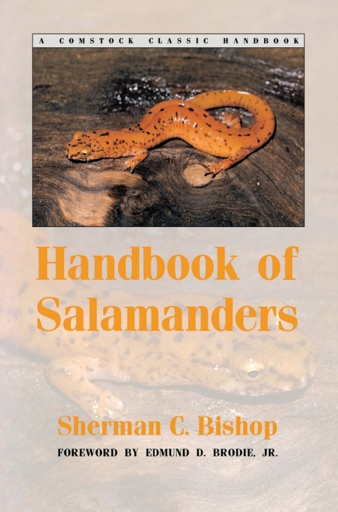 Cover image for book Handbook of Salamanders