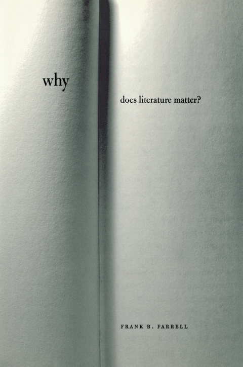 Cover image for book Why Does Literature Matter?