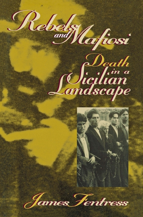 Cover image for book Rebels and Mafiosi